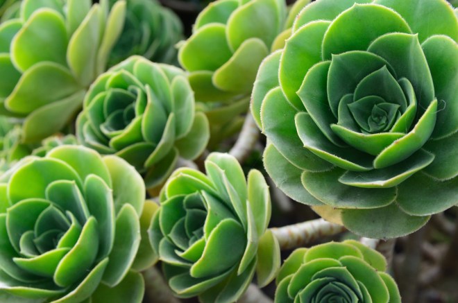 UK_10_12_2011_08_24_39