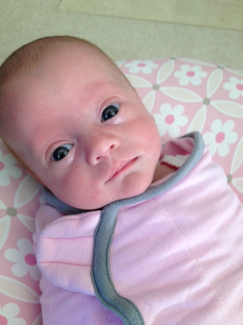 Oh noes, it's the Mamarazzi again.