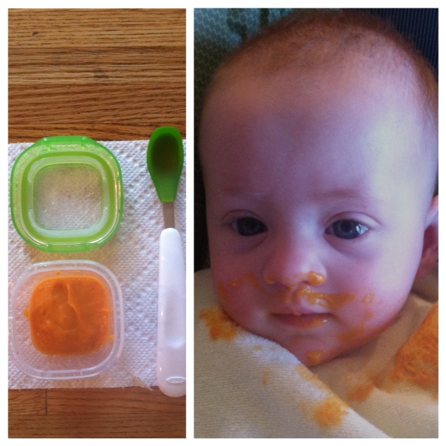 babyfood6