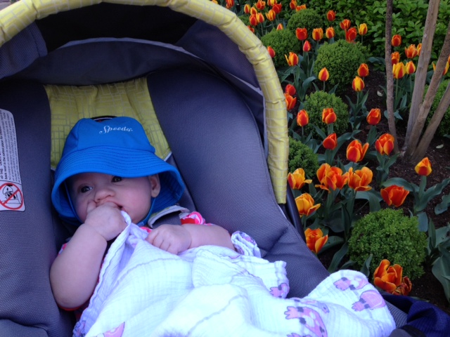 Drool is good for the skin.