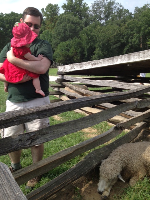 Get over here, sheep!  I want to love you!