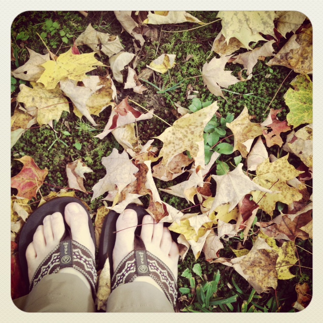 Perfect weather for hiking pants and flip-flops on crunchy leaves.