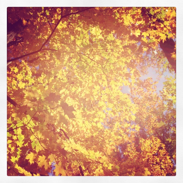 Too much to stop at just one picture.