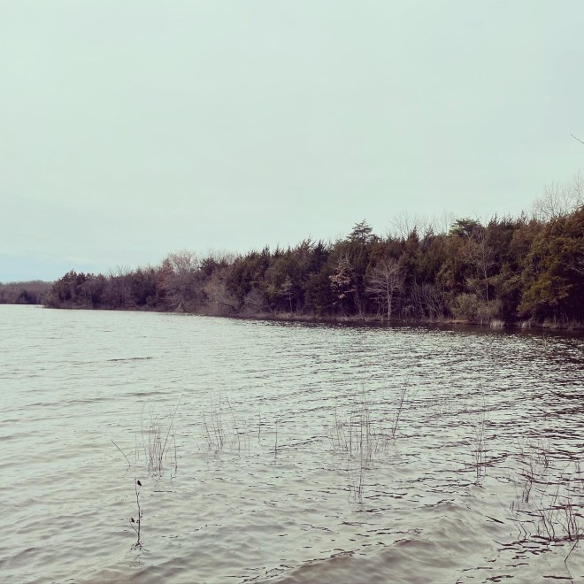 This image has an empty alt attribute; its file name is e9287eb9-2941-4060-a935-99141cd4f4f5.jpeg